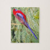 Puzzle Perroquets Rosella Australie (Vertical)