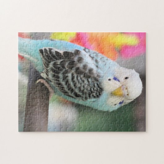 Puzzle Perruche (Horizontal)