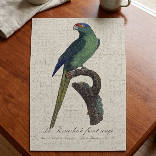 Puzzle Perruche à front orange, Eupsittula Canicularis