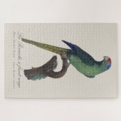 Puzzle Perruche à front orange, Eupsittula Canicularis (Horizontal)