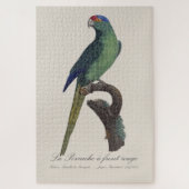 Puzzle Perruche à front orange, Eupsittula Canicularis (Vertical)