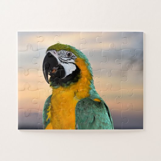 Puzzle Perruche ara (Horizontal)