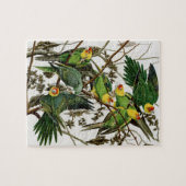 Puzzle Perruche de Caroline vintage de peinture Audubon (Horizontal)