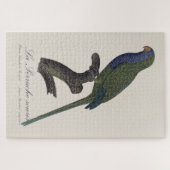 Puzzle Perruche Moine, Myiopsitta Monachus (Horizontal)