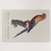 Puzzle Perruche soleil mâle, Aratinga solstitialis (Horizontal)