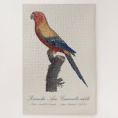 Puzzle Perruche soleil mâle, Aratinga solstitialis (Vertical)