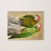 Puzzle Perruque Mitred sur poteau en bois Bâton Carré de  (Horizontal)