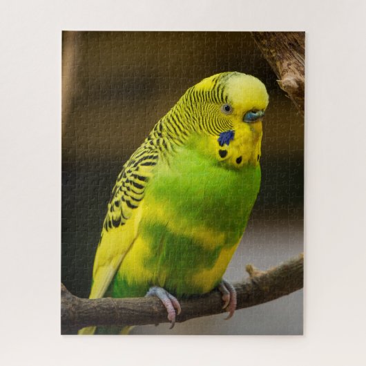 Puzzle Personalized English Budgie Parakeet (Vertical)