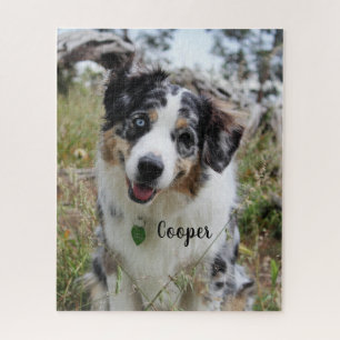 Puzzle Personalized Merle Australian Shepherd Puppy