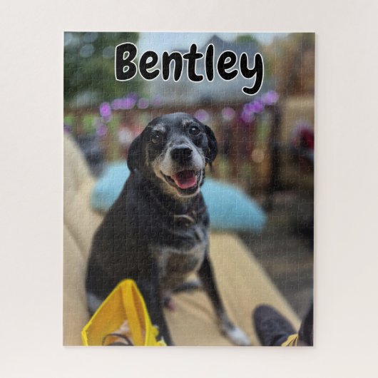 Puzzle Personalized Pet Photos Template (Vertical)