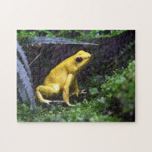 Puzzle personnalisé avec photo