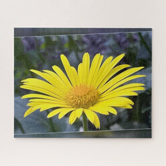 Puzzle Pétales jaunes (Horizontal)