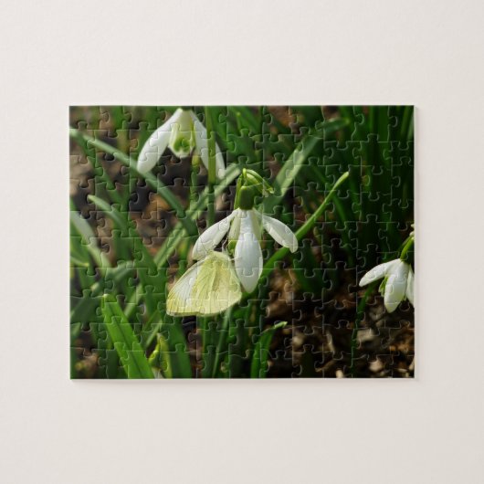 Puzzle Petit blanc et perce-neige (Horizontal)