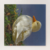 Puzzle Petit canard blanc (Horizontal)