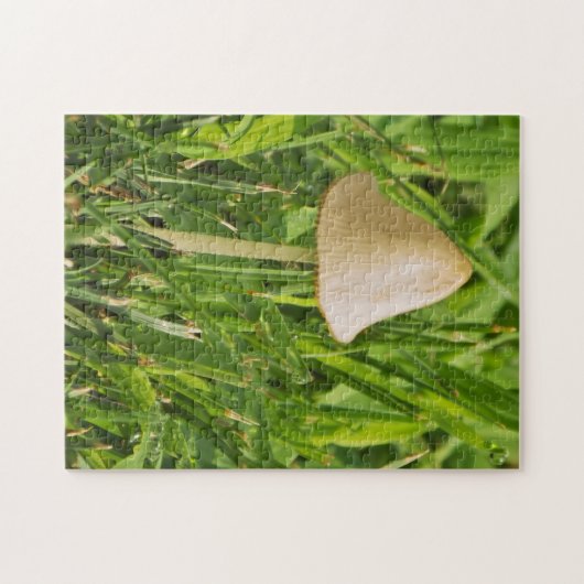 Puzzle Petit champignon (Horizontal)