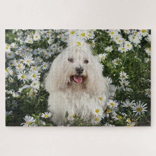 Puzzle Petit Chien blanc assis Jardin de fleurs blanches (Horizontal)