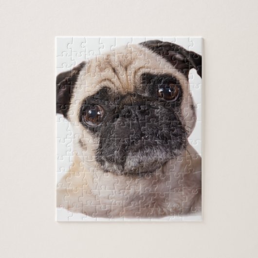 Puzzle petit chien mignon de carlin (Vertical)