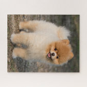 Puzzle Petit Chien roux roumain Brown (Horizontal)