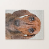 Puzzle Petit chien Weiner (Horizontal)