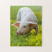 Puzzle Petit cochon mignon (Vertical)