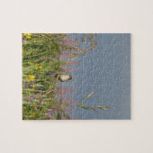 Puzzle Petit colibri gras (Horizontal)