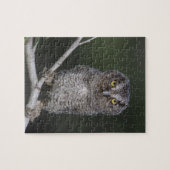 Puzzle Petit-duc maculé, Megascops asio, Otus 2 (Horizontal)