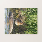 Puzzle Petit Fuligule debout sur un rocher B18 (Horizontal)