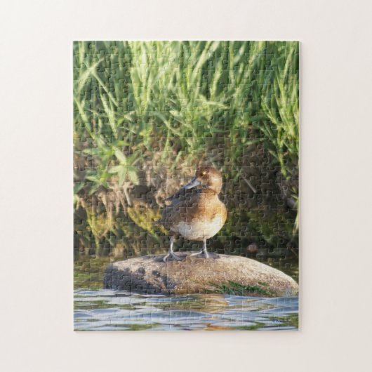 Puzzle Petit Fuligule debout sur un rocher B18 (Vertical)