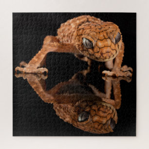 Puzzle Petit lizard mou Reptile avec réflexion