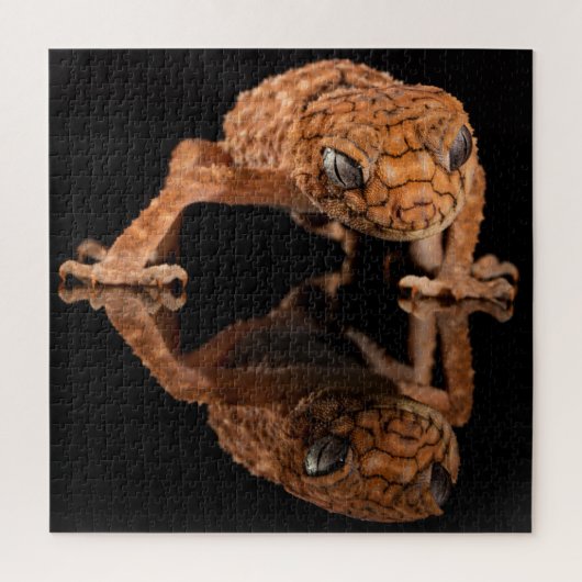 Puzzle Petit lizard mou Reptile avec réflexion (Vertical)
