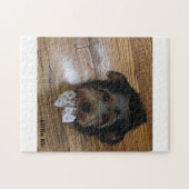 Puzzle Petit M. (Horizontal)