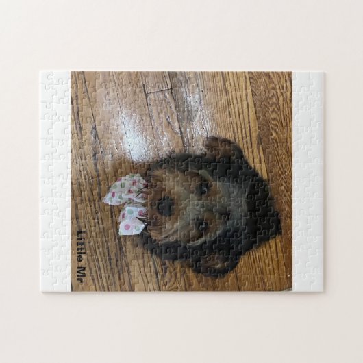 Puzzle Petit M. (Horizontal)