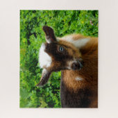 Puzzle Petit nain nigérian aux yeux bleus (Vertical)