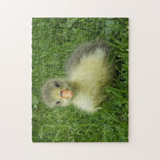 Puzzle petit oison dans l'herbe verte luxuriante (Vertical)