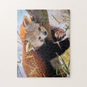Puzzle Petit panda rouge pâle (Vertical)