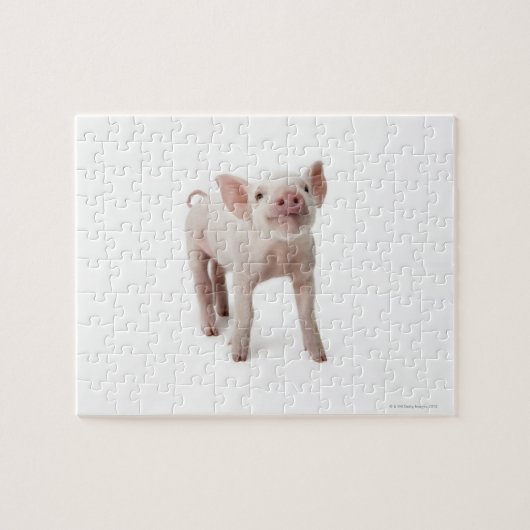Puzzle Petit porcelet (Horizontal)