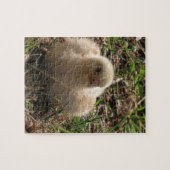 Puzzle petit poulet chick animal, ferme (Horizontal)