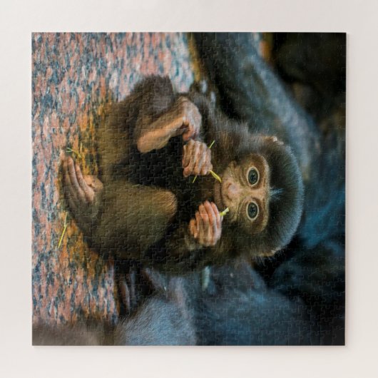 Puzzle Petit singe idiot (Horizontal)