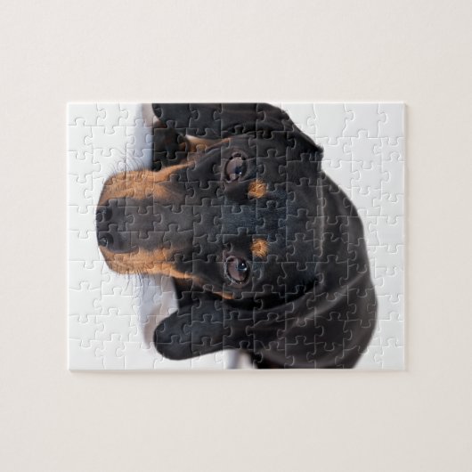 Puzzle Petit teckel (Horizontal)