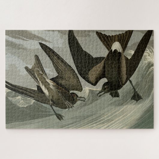 Puzzle Petit tonneau à queue fourche d'Audubon's Birds of (Horizontal)