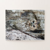 Puzzle Petite Chouette de Camouflage dans l'arbre (Horizontal)
