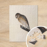 Puzzle Petite chouette | William Lewin<br><div class="desc">Little Owl (avant 1790) | La Petite Chouette de William Lewin est une peinture charmante et précise représentant une petite chouette brune perchée sur une branche contre un arrière - plan neutre minimaliste. L’oeuvre capte le regard expressif de la chouette, les plumes douces et la forme compacte avec une grande...</div>
