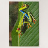 Puzzle Petite grenouille colorée (Vertical)