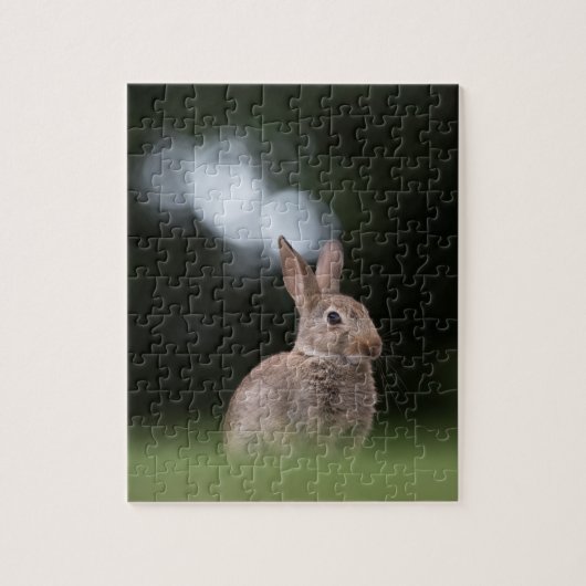 Puzzle Petite photo de nature de lapin (Vertical)