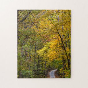 Puzzle Petite route de gravier bordée de couleurs d'autom