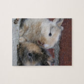 PUZZLE PETITS LAPINS DE BÉBÉ (Horizontal)