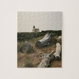 Puzzle Phare de la rivière Coquille, OR