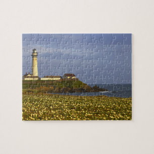 Puzzle Phare de Pigeon Point State Beach à San