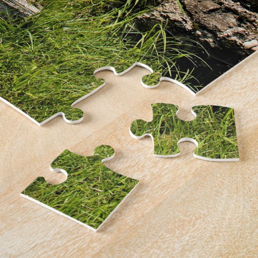 Puzzle Phare de Stony Point, New York (Côté)