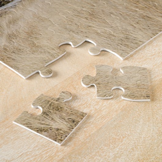 Puzzle Phare et tour de Big Sable Point (Côté)